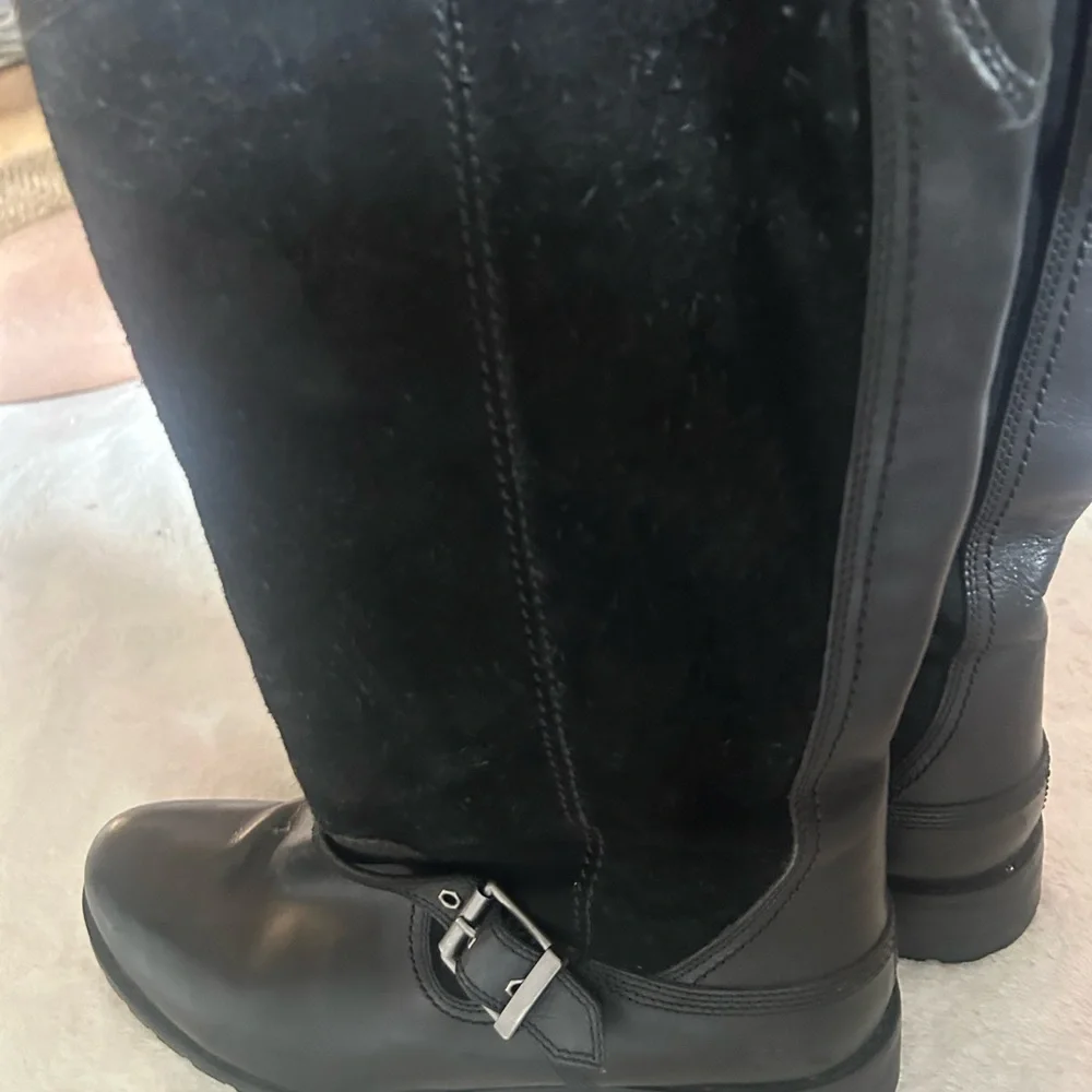 Timberland boots - Picture 13 of 16